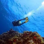 Le Terrazze Sul Mare Isola di Ustica