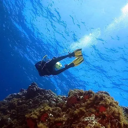 Le Terrazze Sul Mare Isola di Ustica